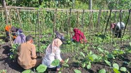 Ibu-Ibu PKK Kemejing Kerja Bakti di Lahan Aku Hatinya PKK Sambut Kunjungan Studi Tiru Bengkulu